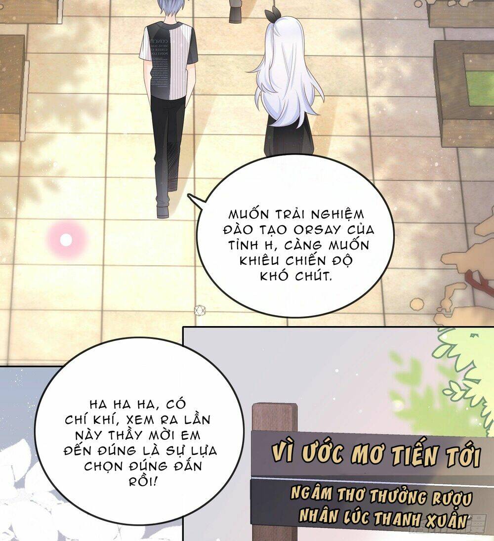 page_21.jpg