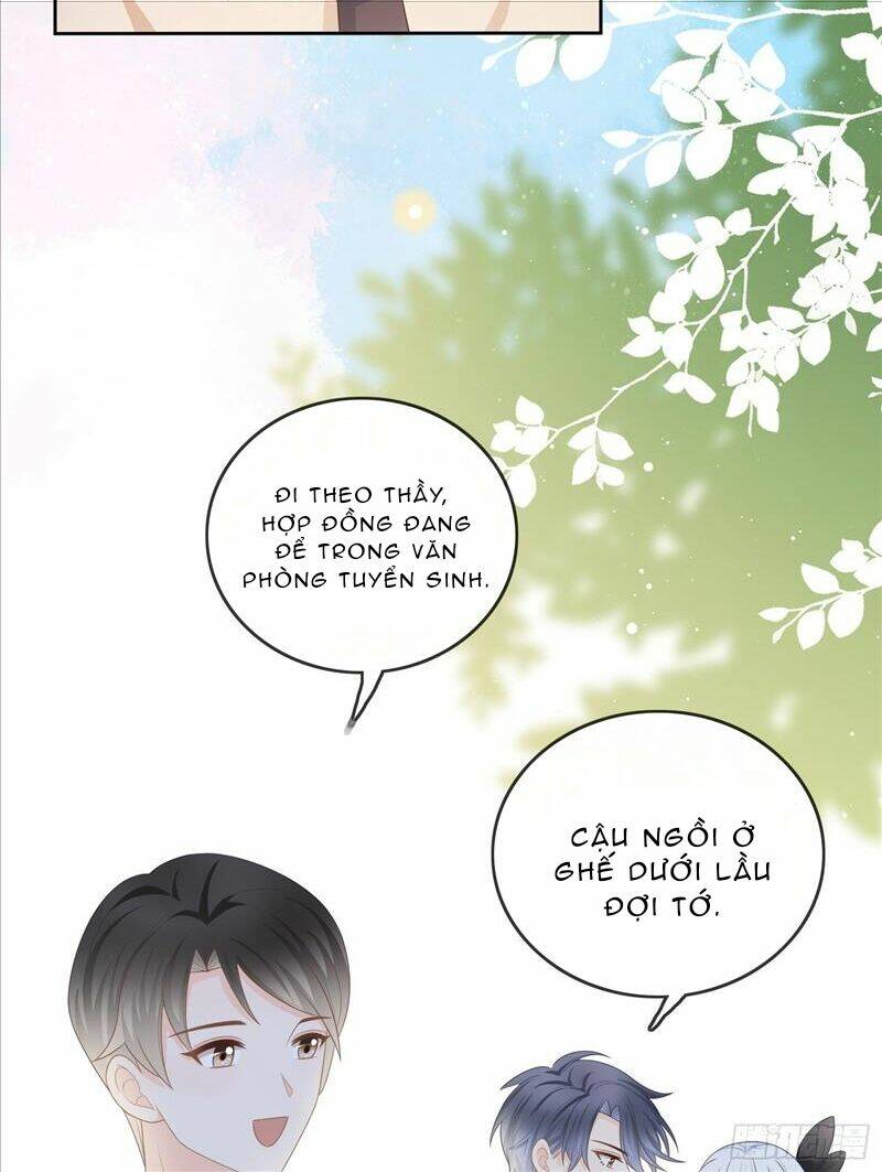 page_19.jpg