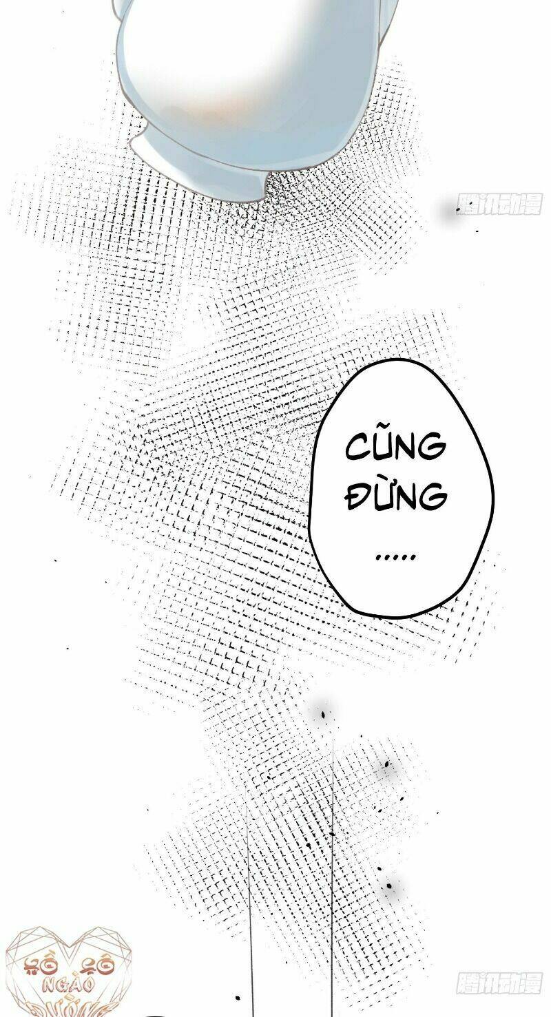 page_14.jpg