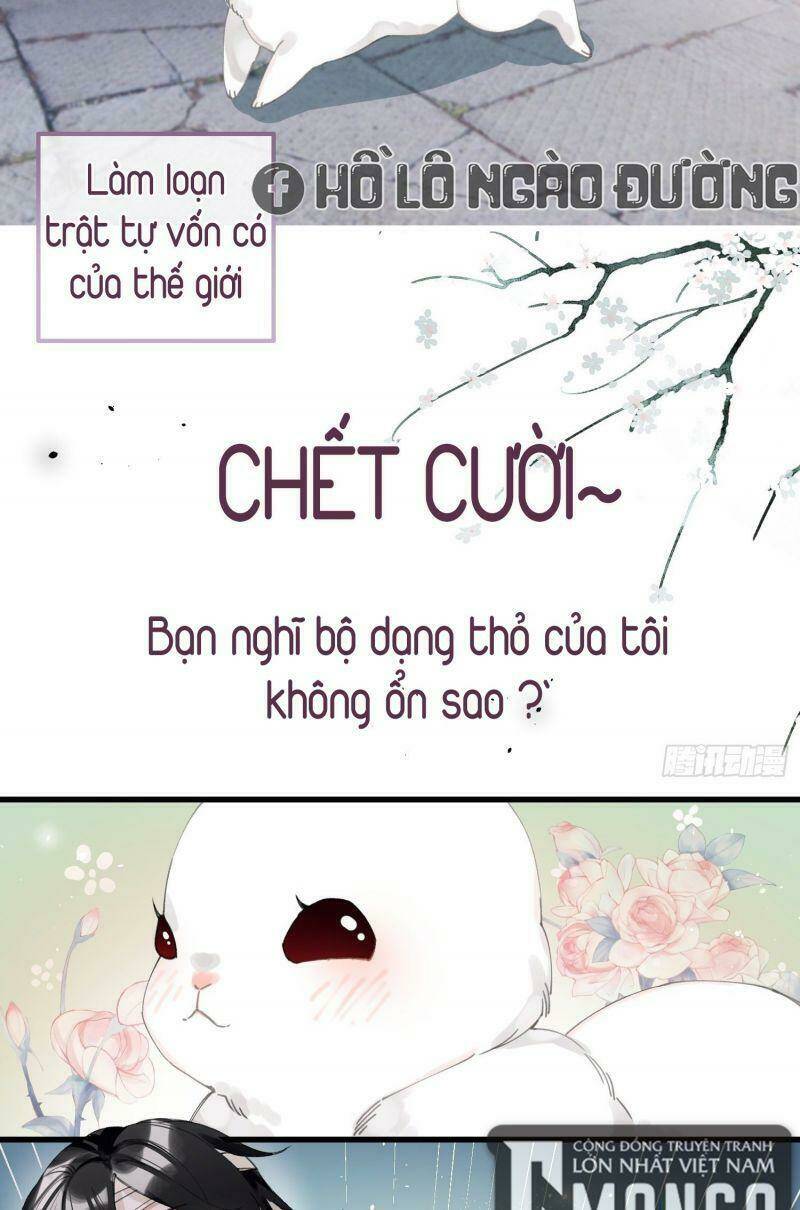 page_4.jpg