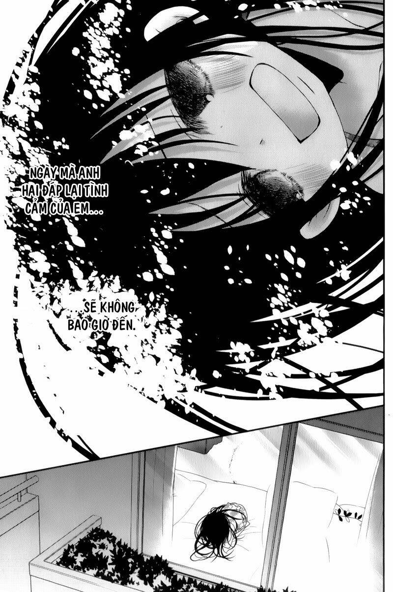 page_19.jpg