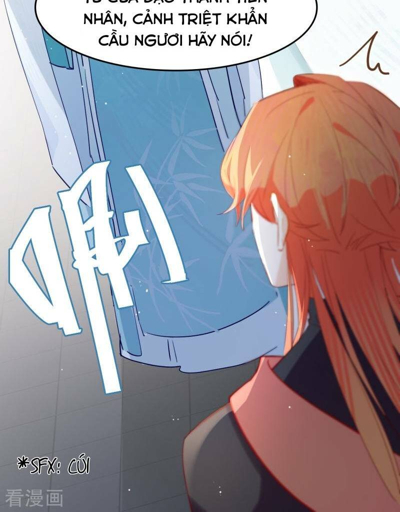 page_31.jpg