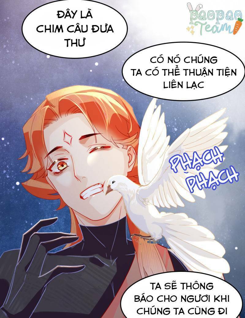 page_27.jpg