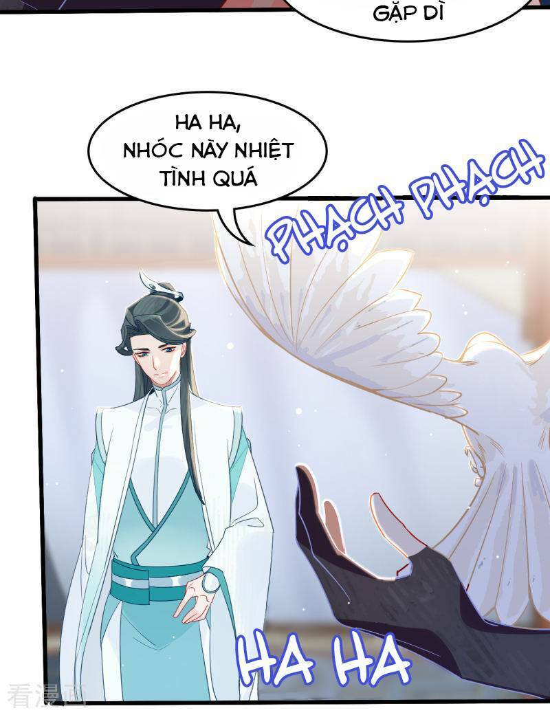 page_28.jpg