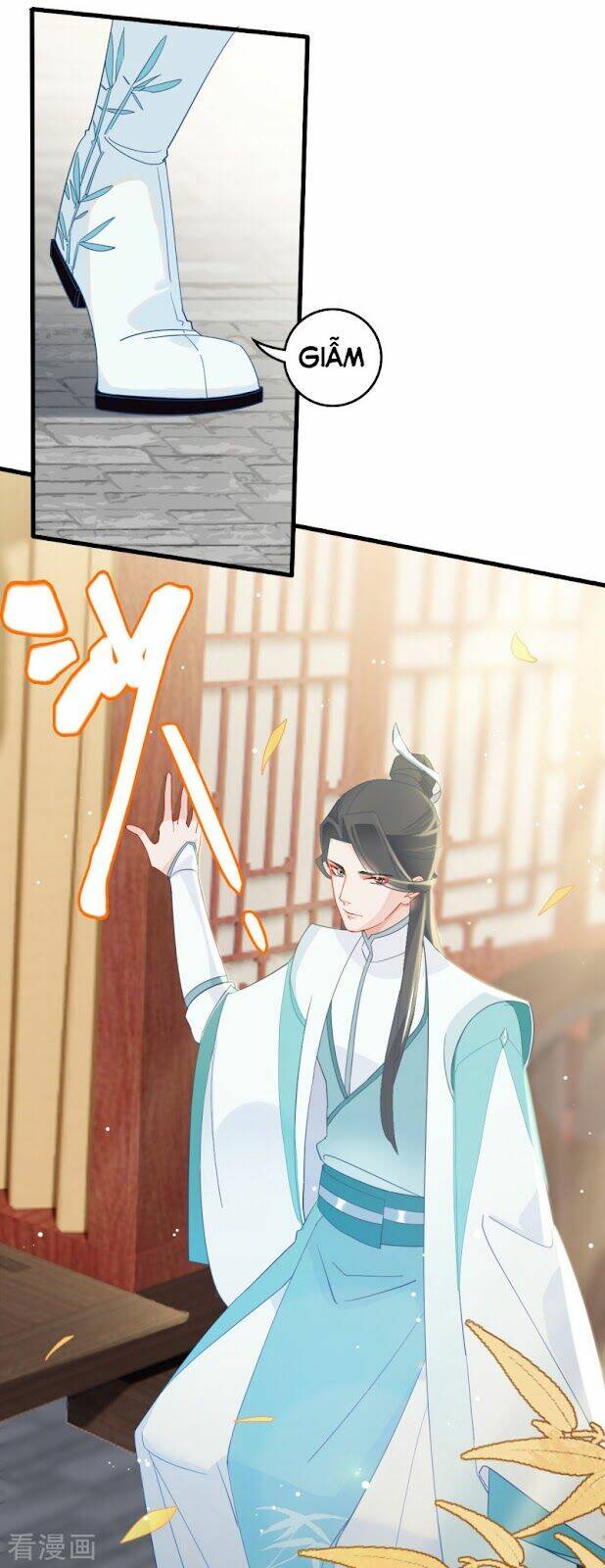 page_19.jpg