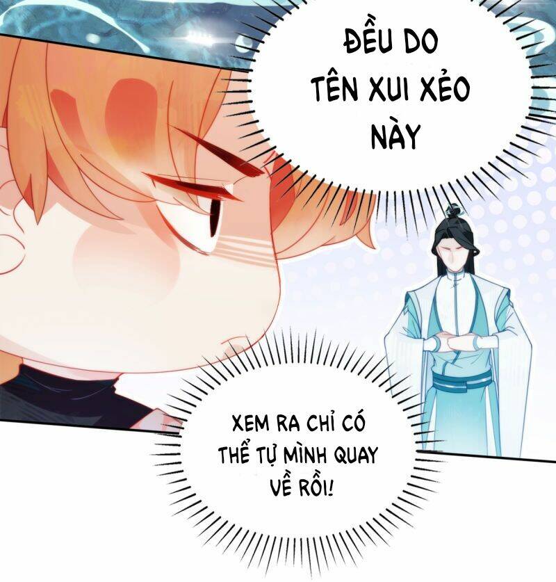 page_34.jpg