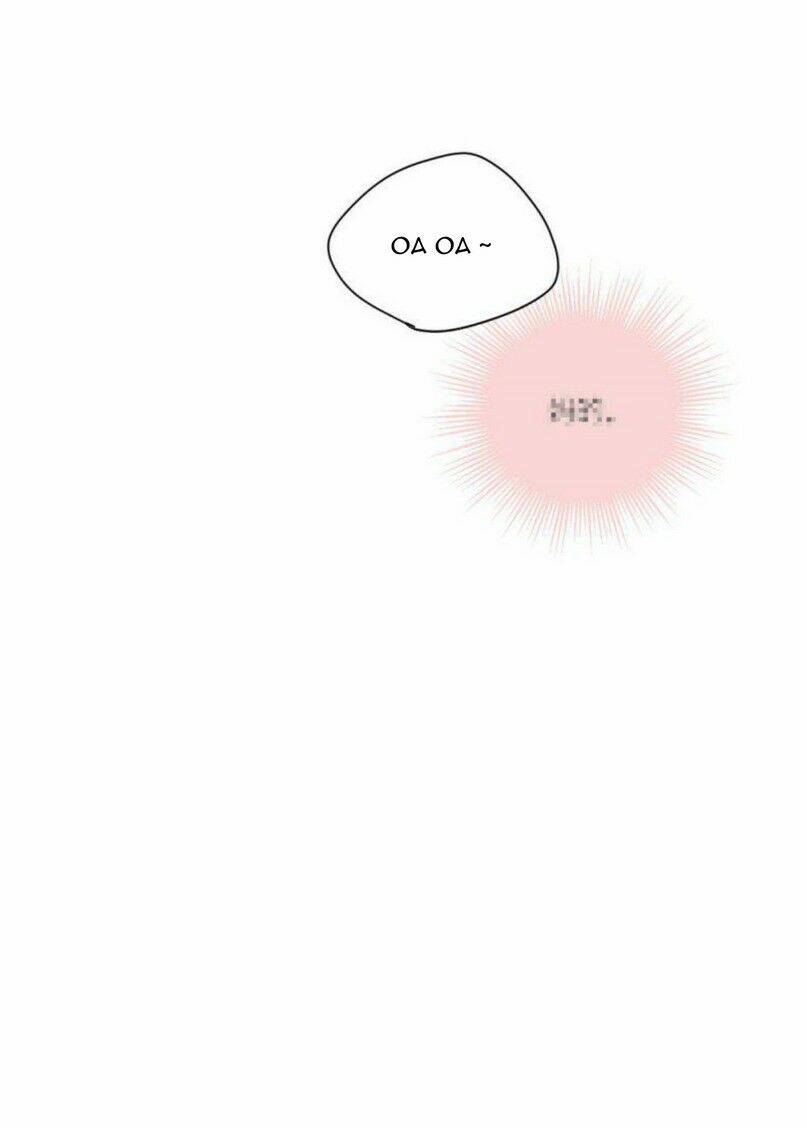 page_38.jpg