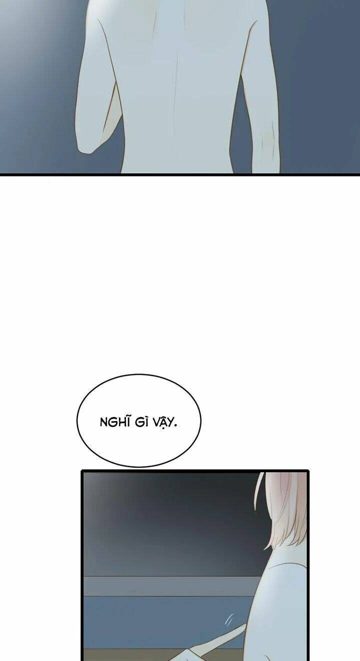 page_16.jpg