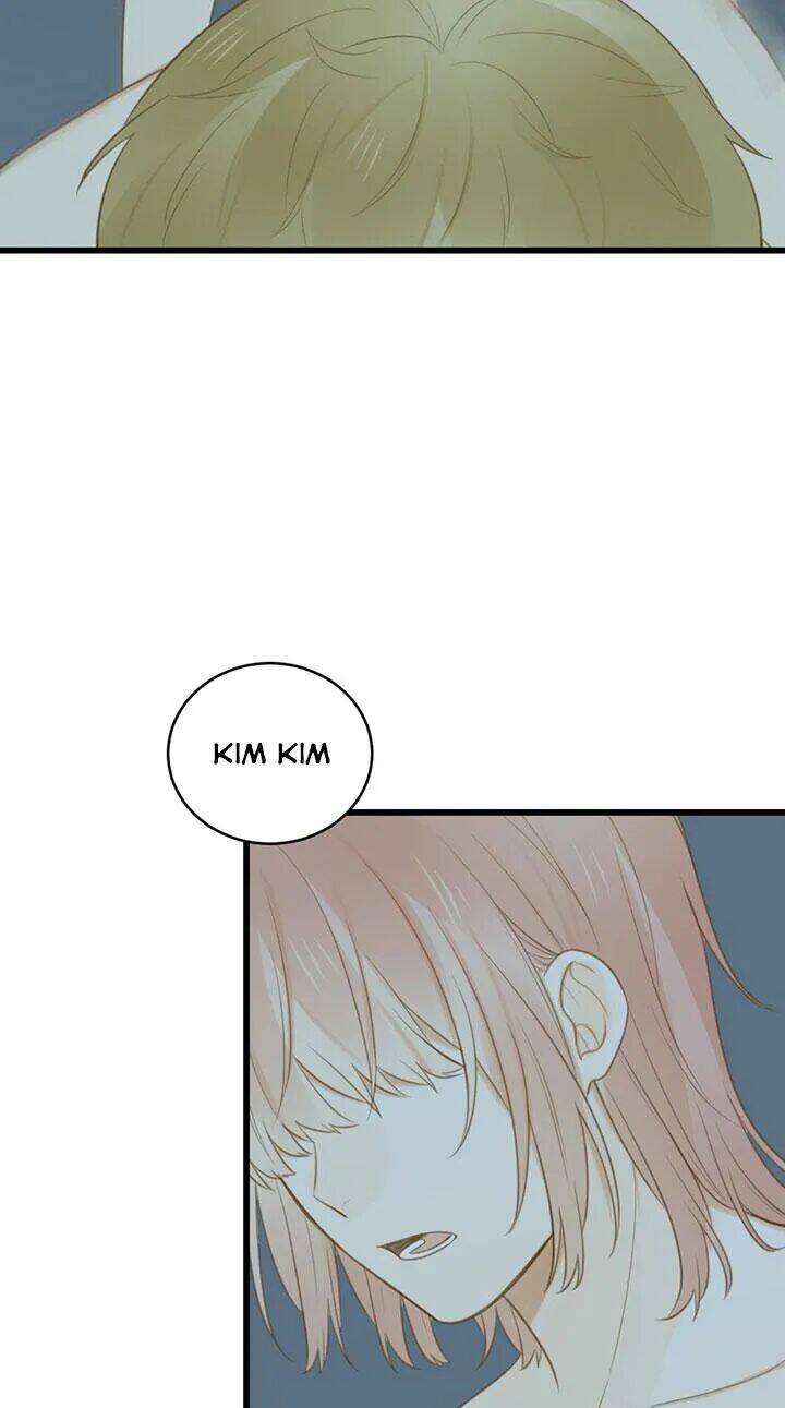 page_28.jpg