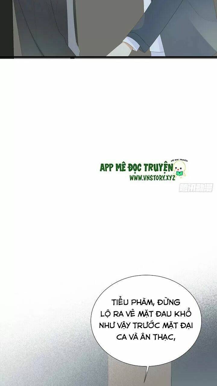 page_28.jpg