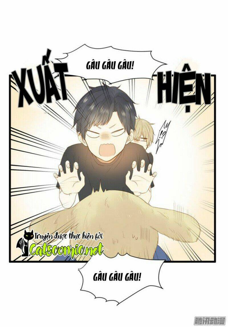 page_20.jpg