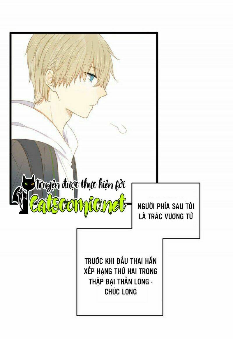 page_31.jpg