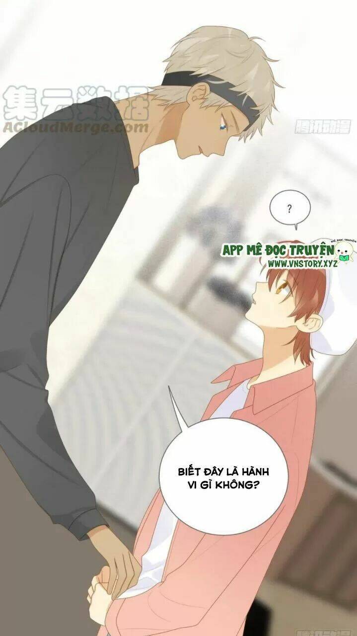 page_28.jpg