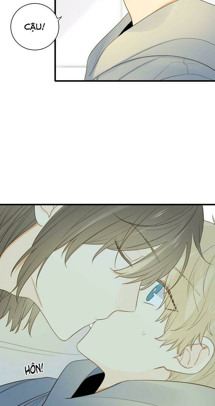 page_31.jpg