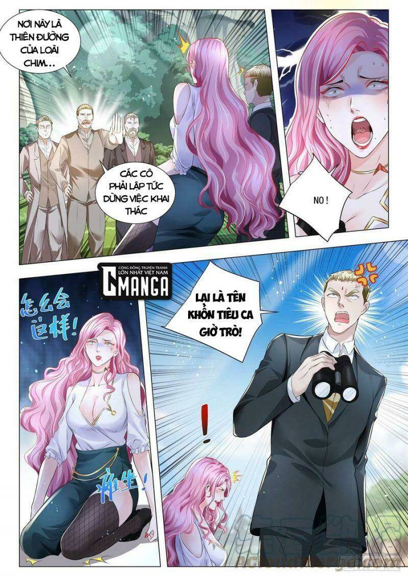 page_8.jpg