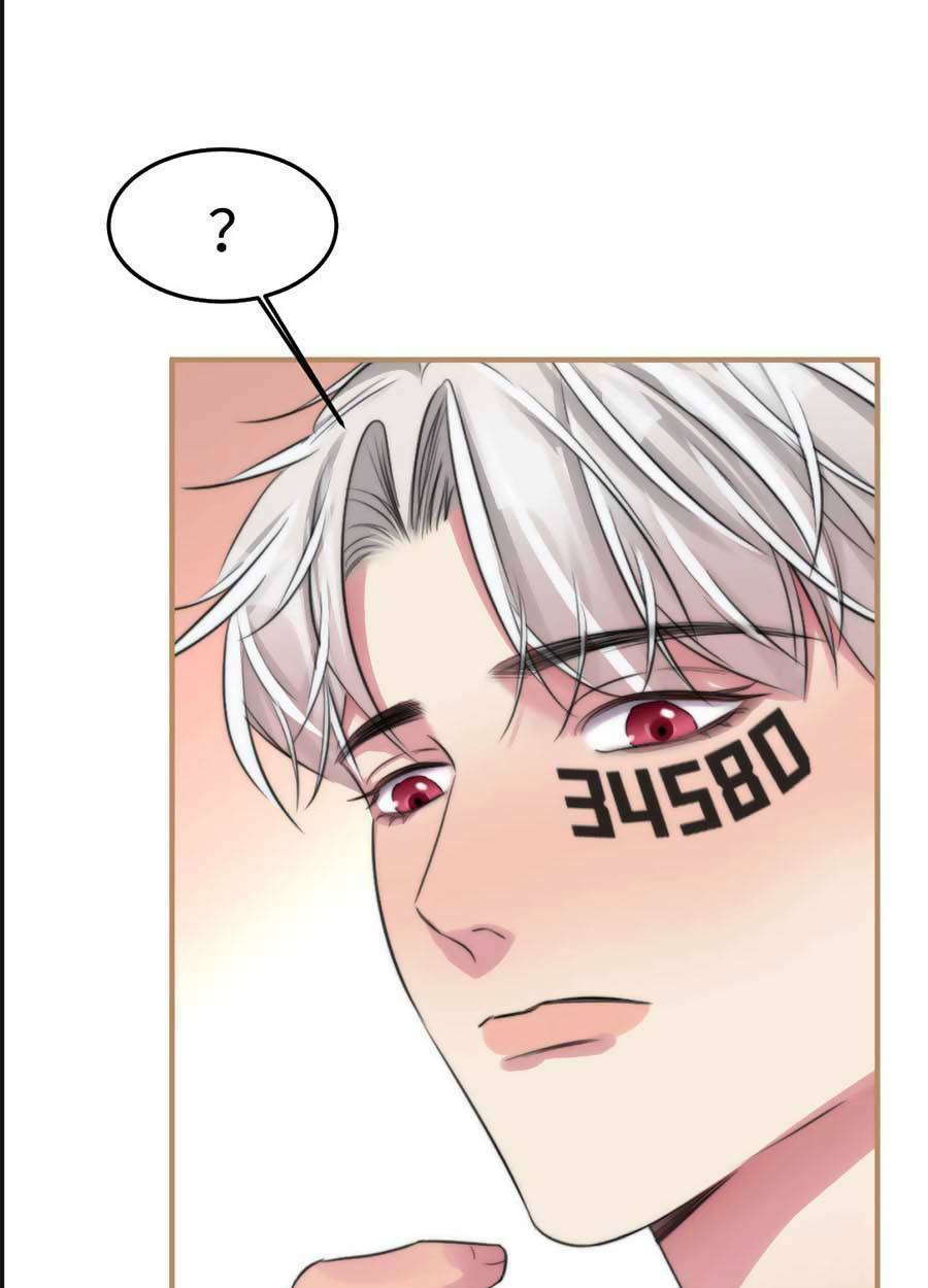 page_28.jpg