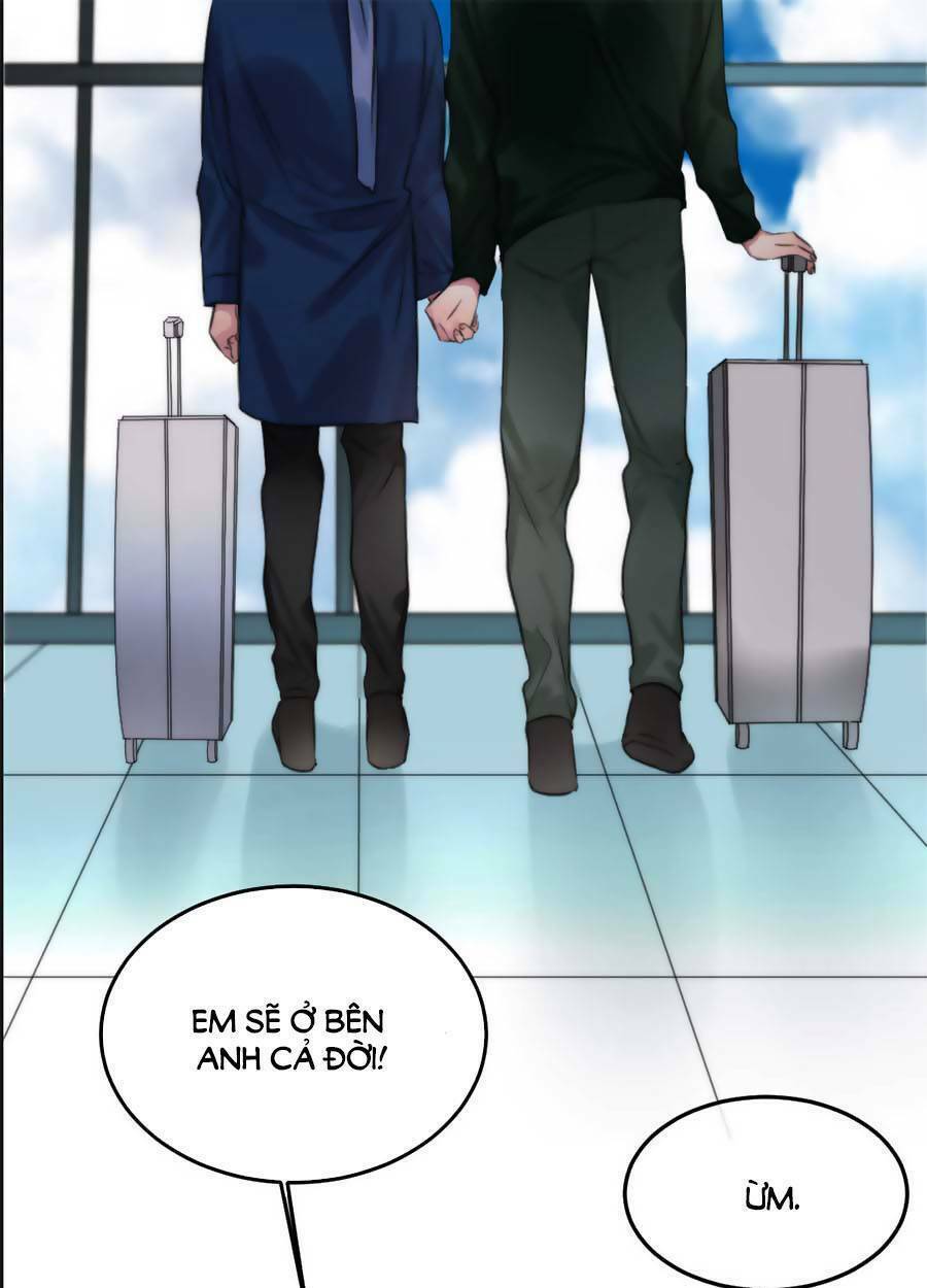 page_41.jpg
