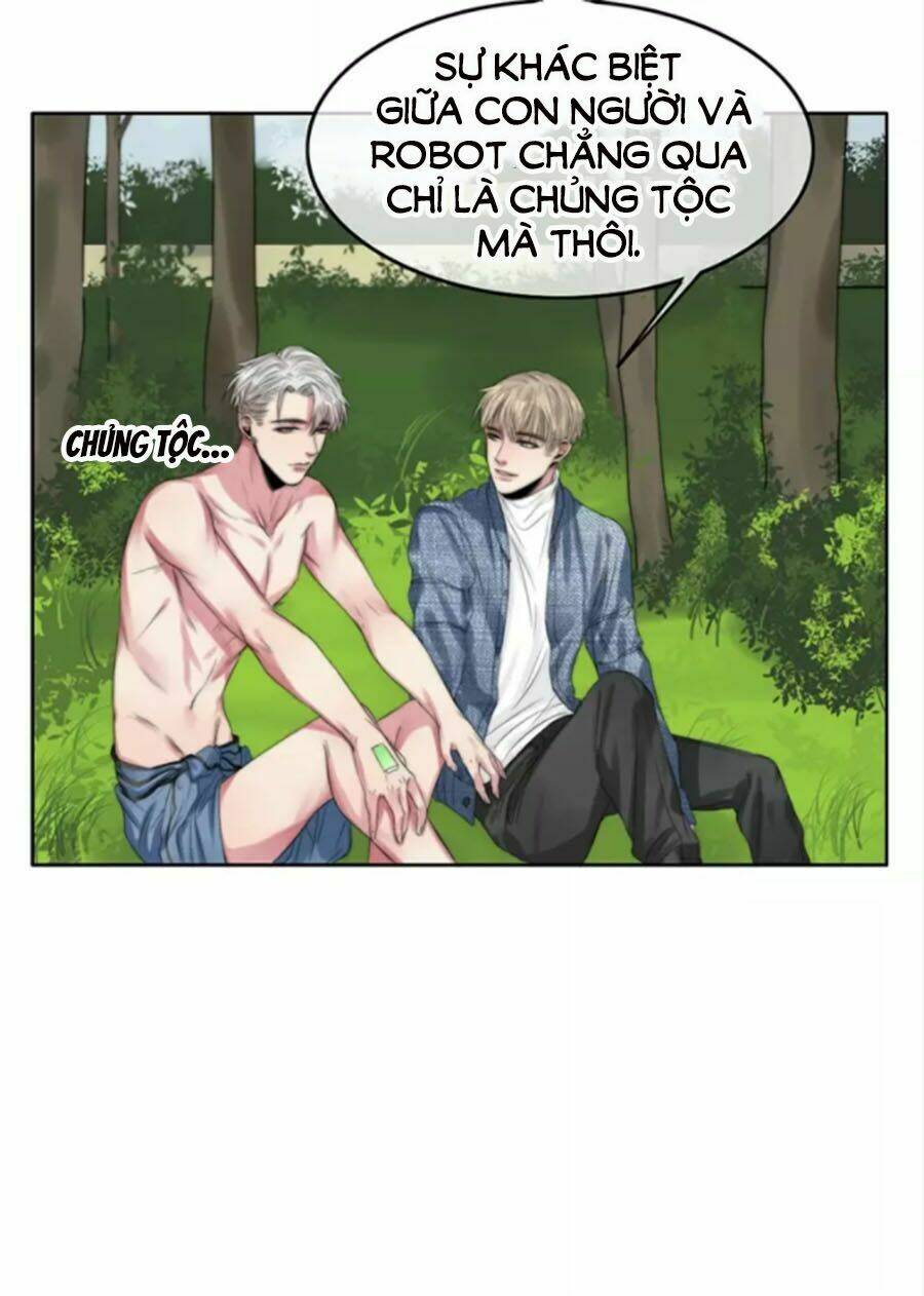 page_13.jpg