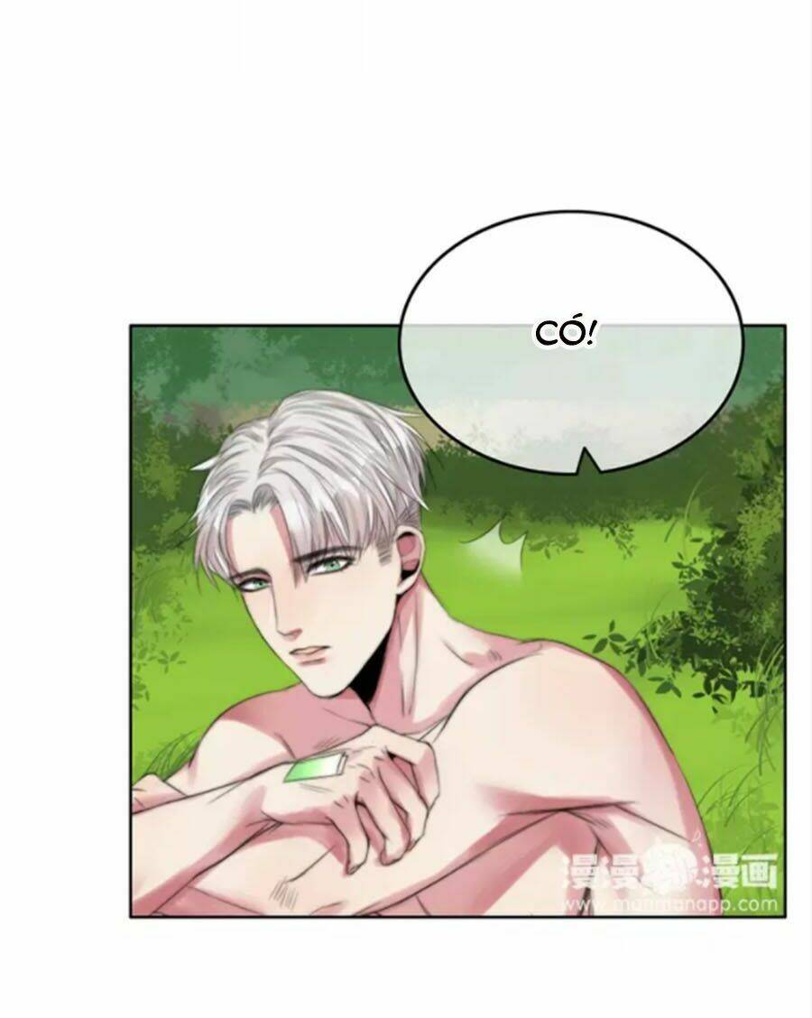page_16.jpg