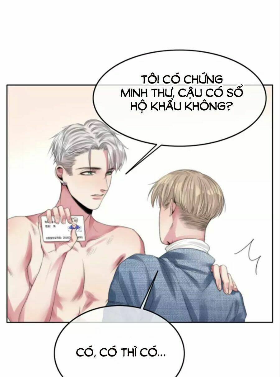 page_21.jpg