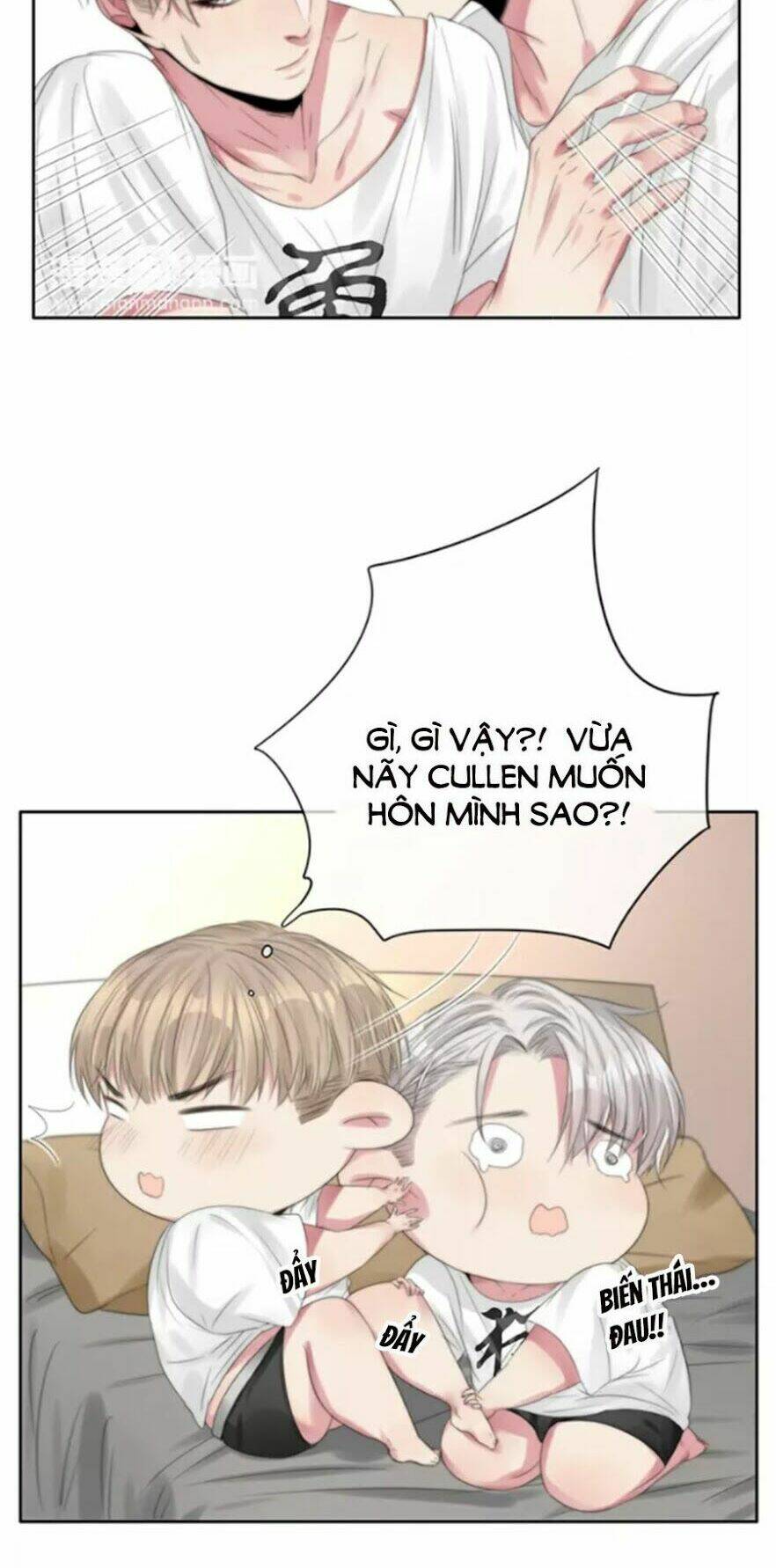 page_19.jpg
