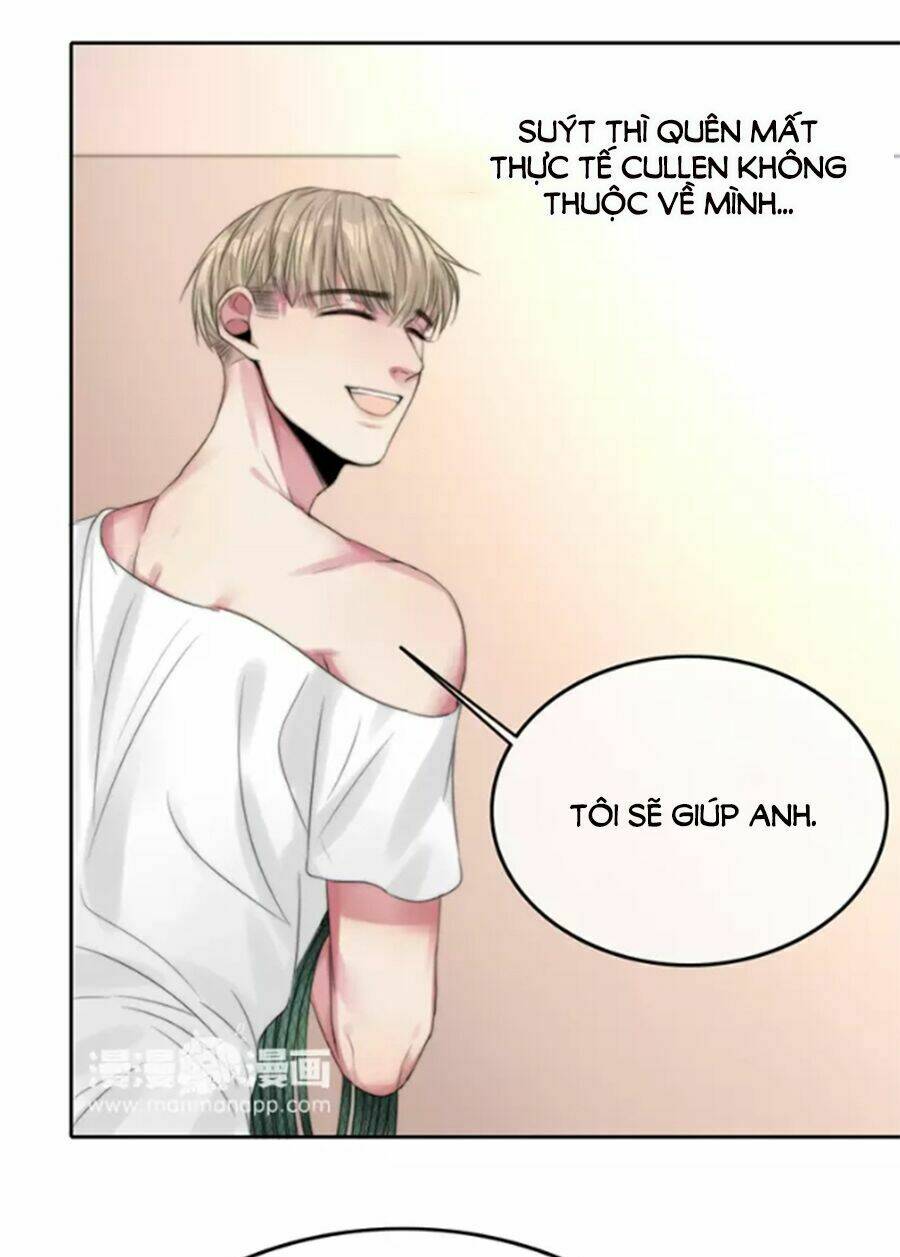page_19.jpg