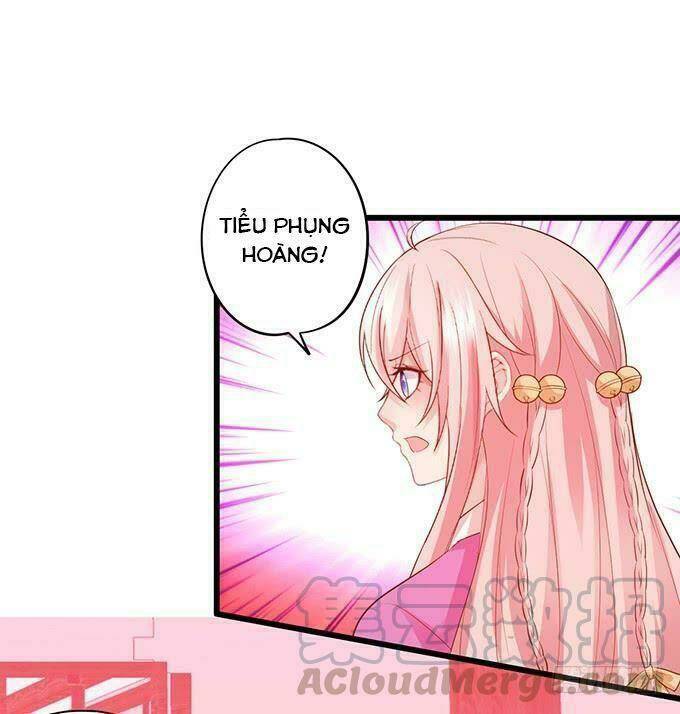 page_27.jpg