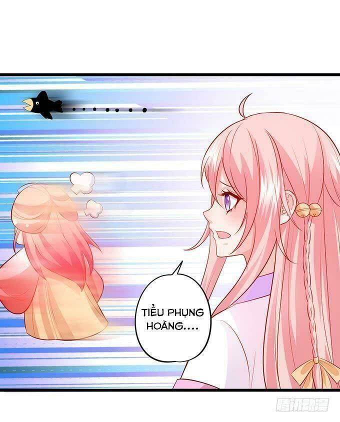 page_25.jpg