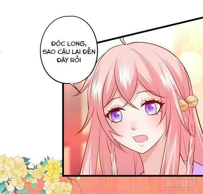 page_31.jpg