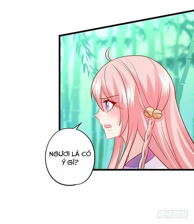 page_29.jpg