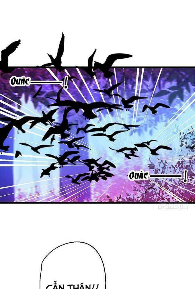page_28.jpg