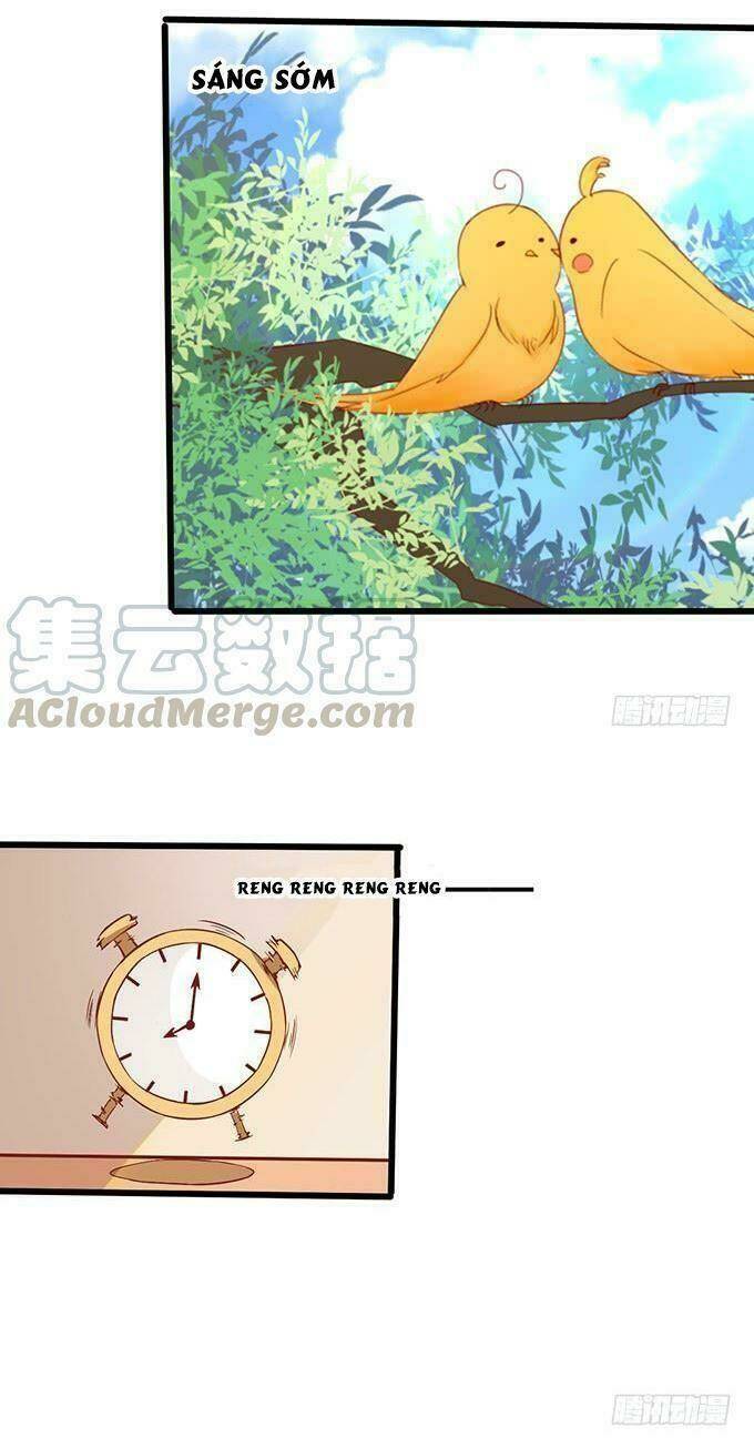page_29.jpg