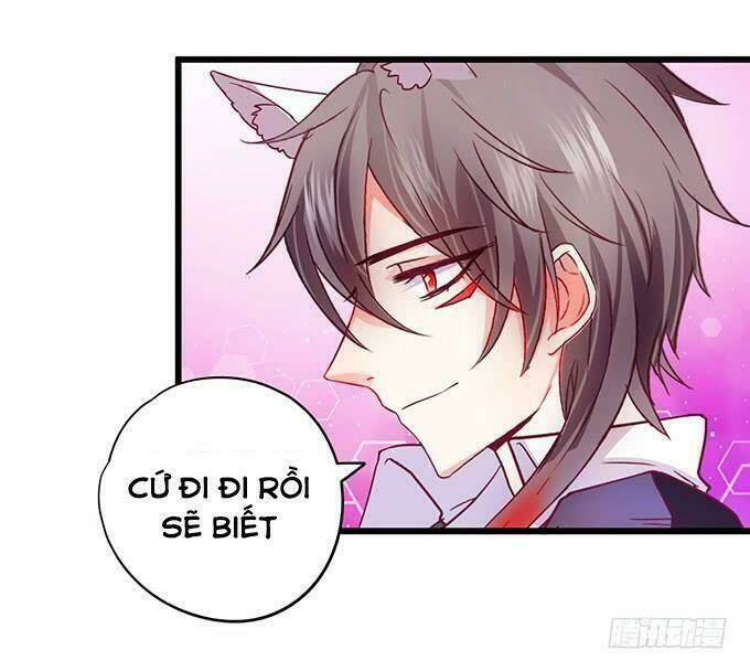 page_19.jpg