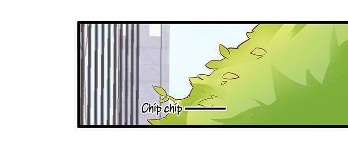 page_29.jpg