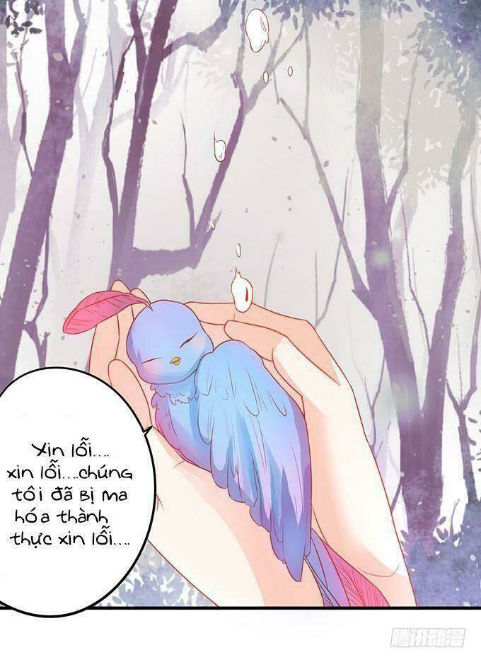 page_20.jpg