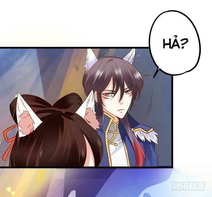 page_24.jpg