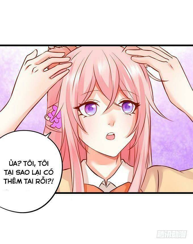 page_11.jpg