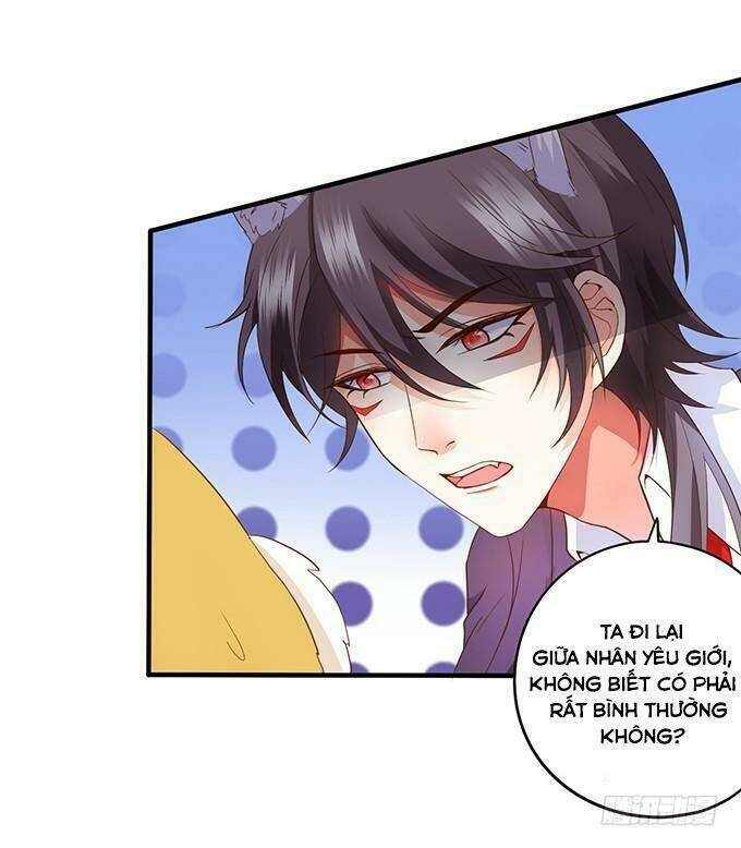 page_14.jpg