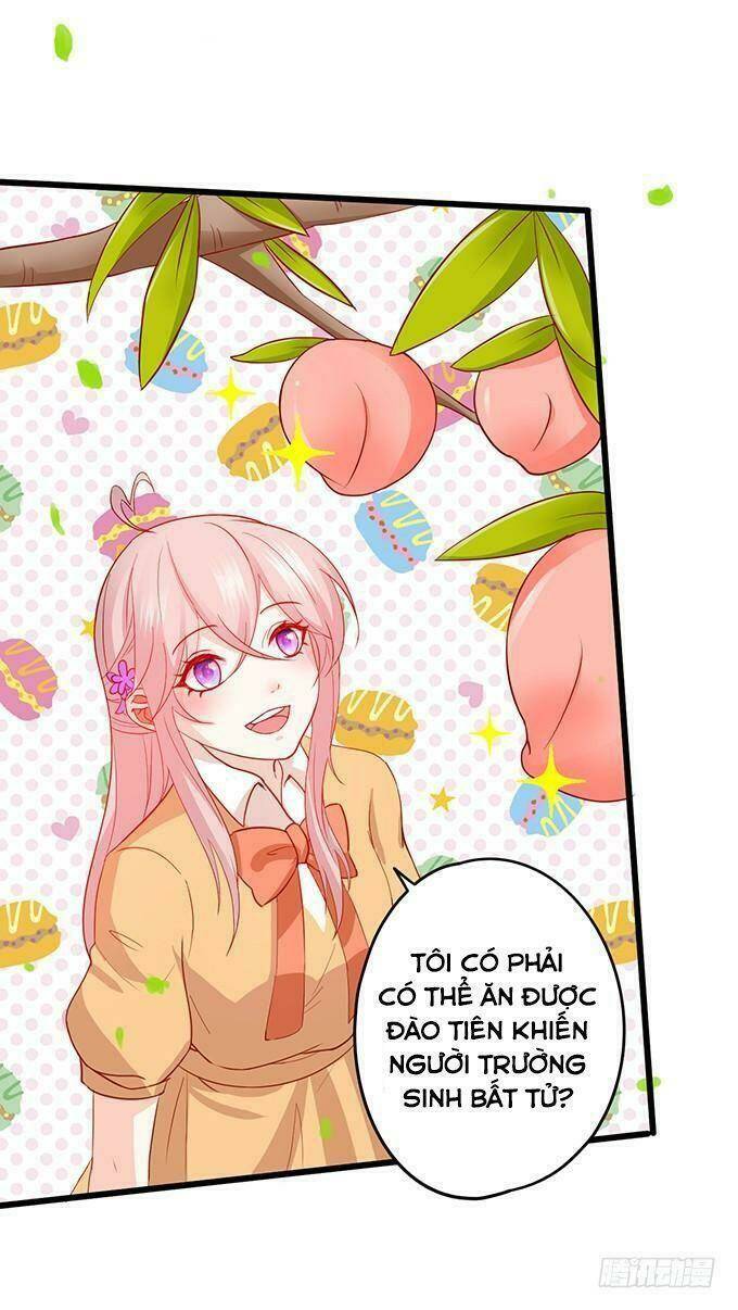page_6.jpg