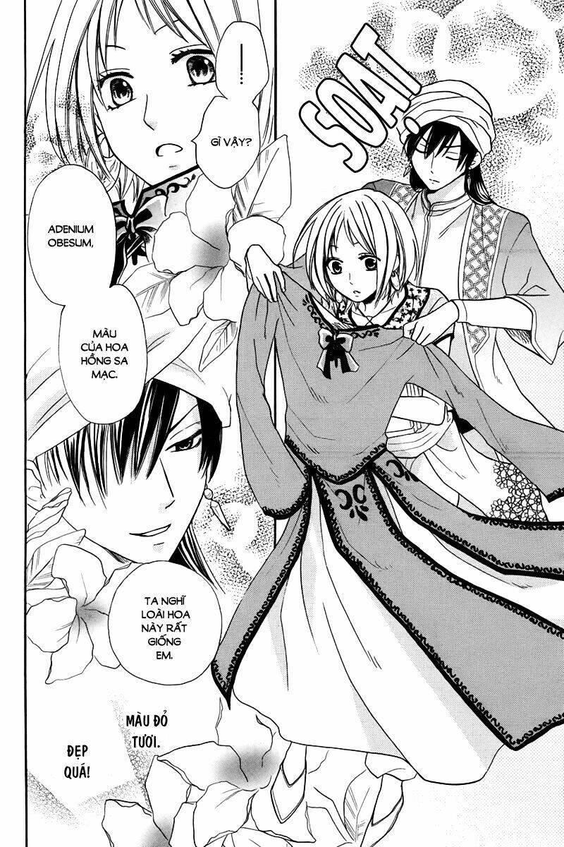 page_17.jpg