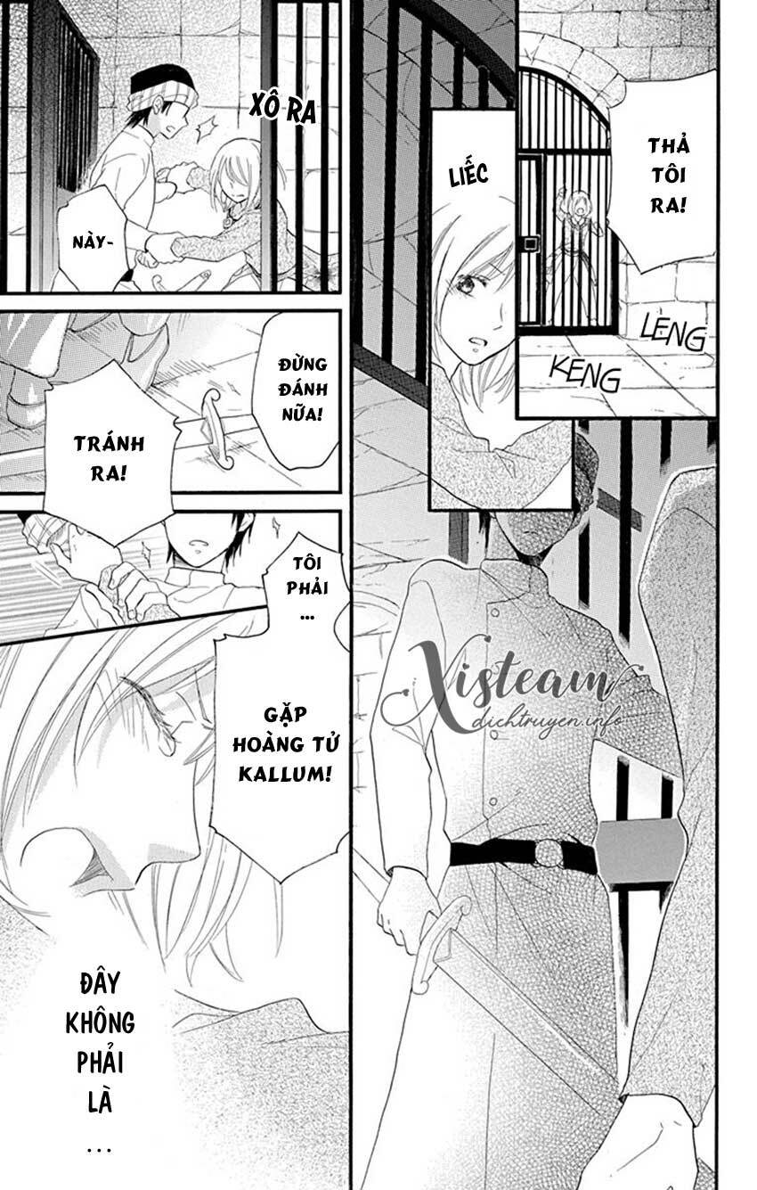 page_29.jpg