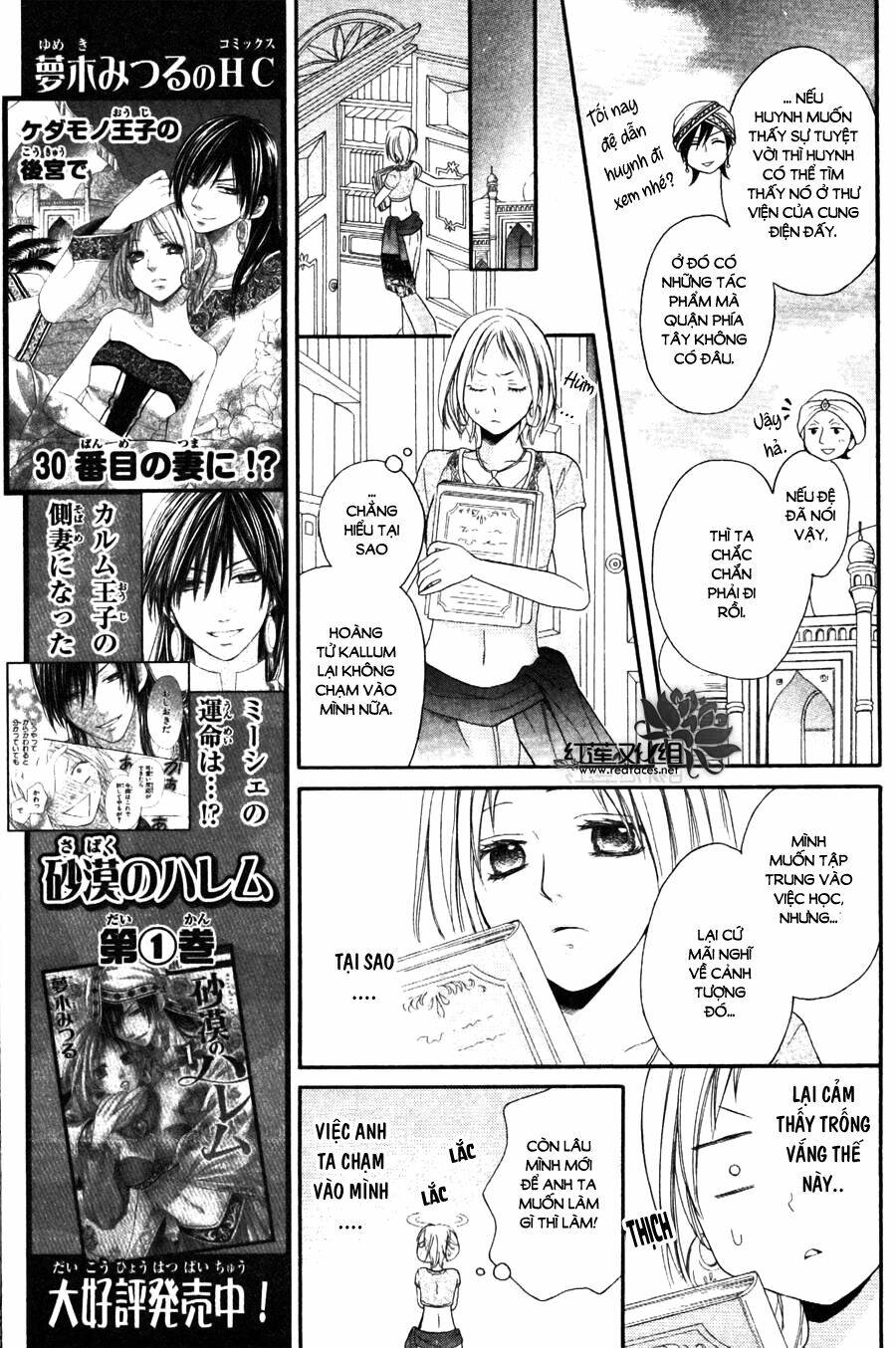 page_11.jpg