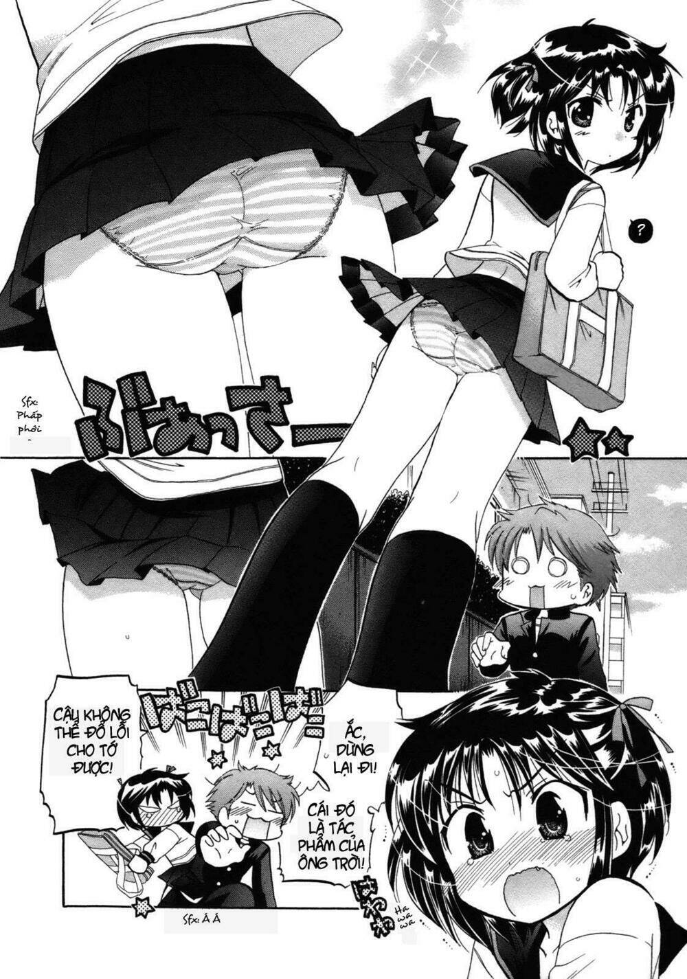 page_5.jpg