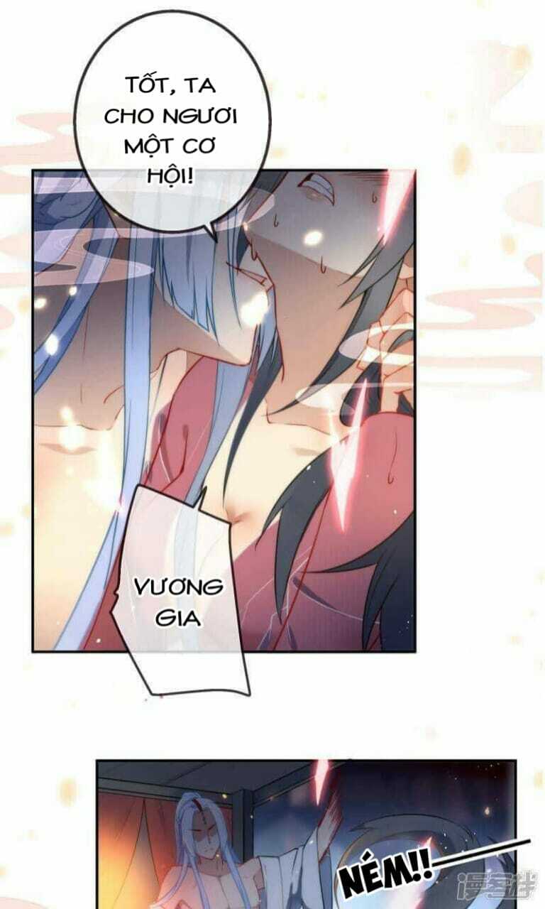page_17.jpg