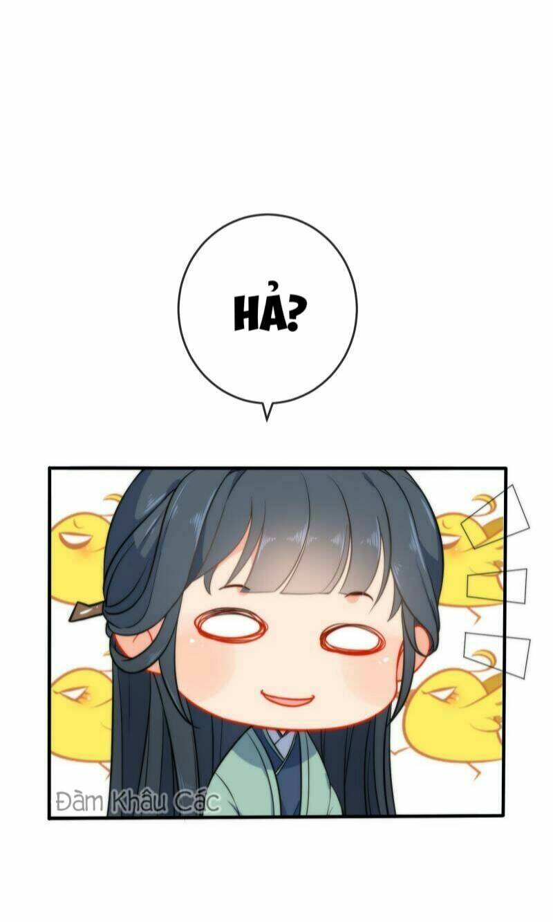 page_34.jpg