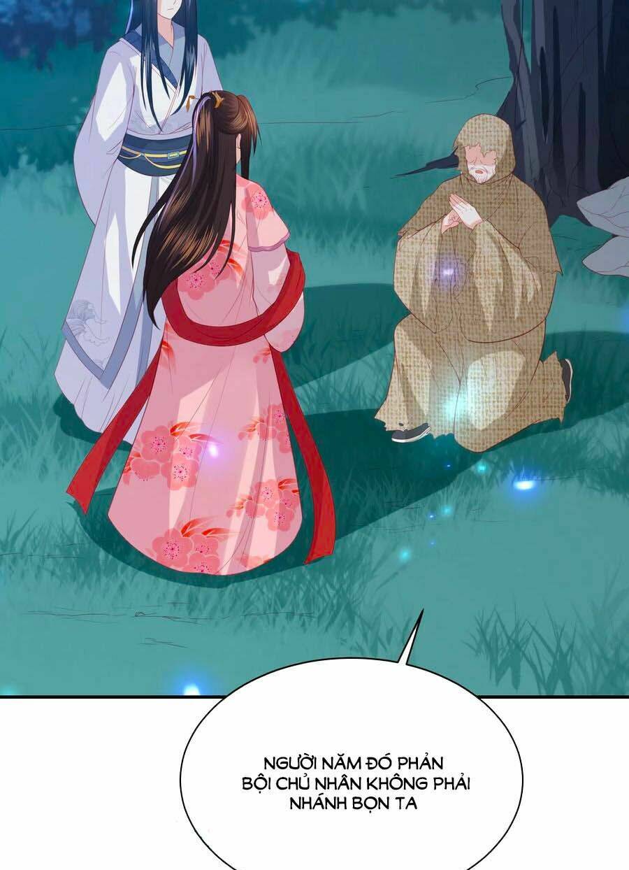 page_16.jpg