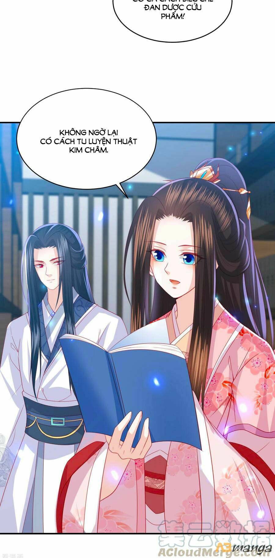 page_17.jpg