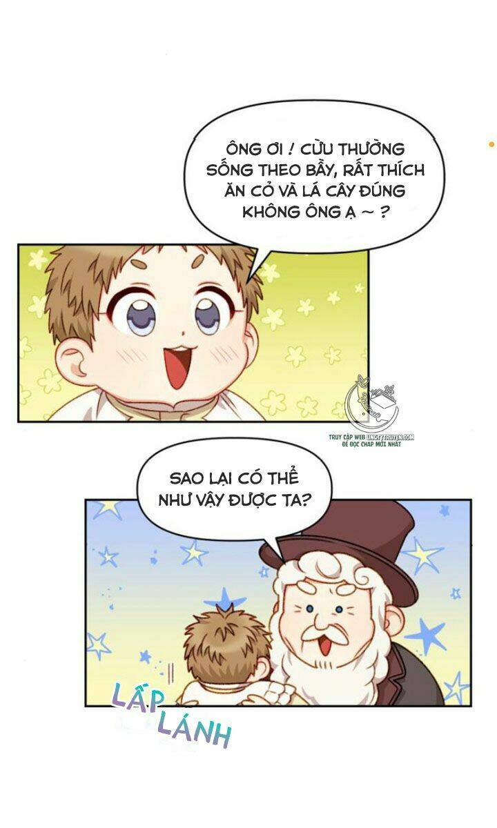 page_26.jpg