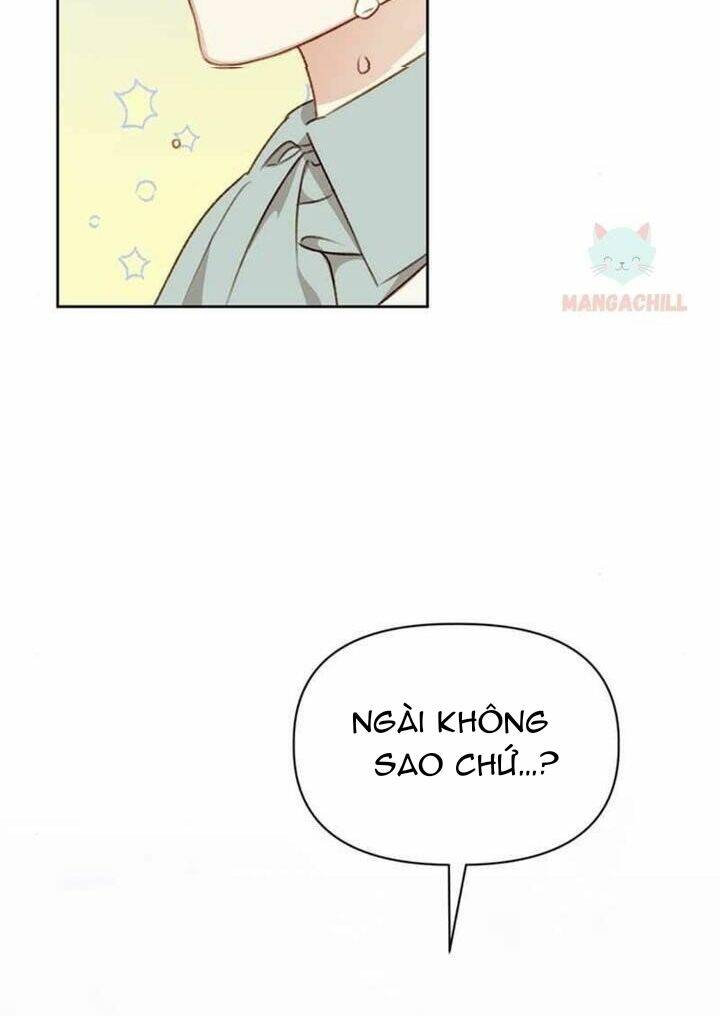 page_25.jpg