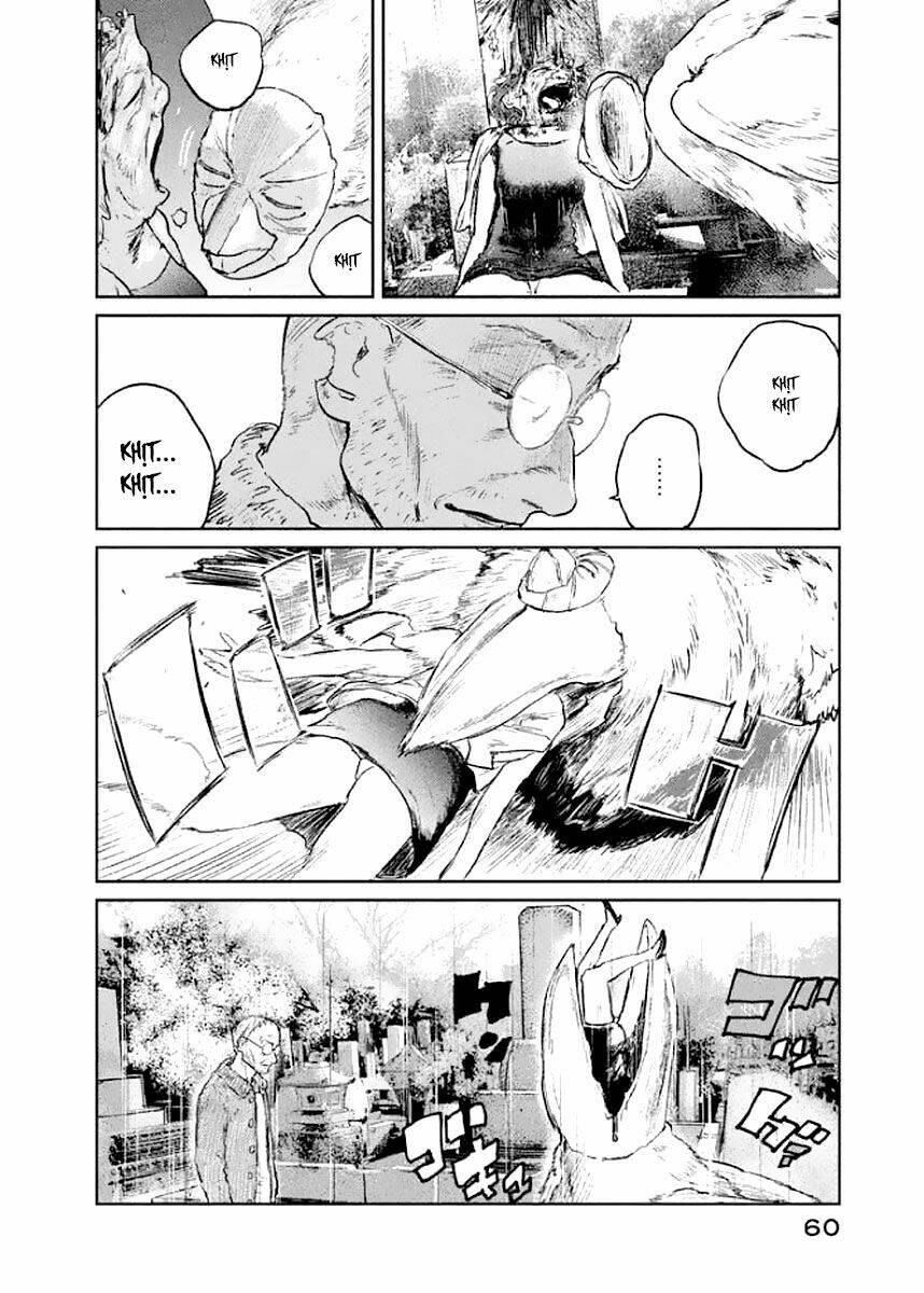 page_17.jpg
